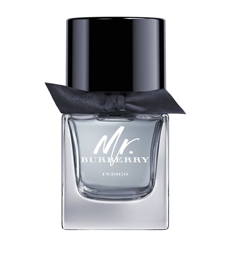 mr burberry eau de toilette|mr burberry indigo 50ml.